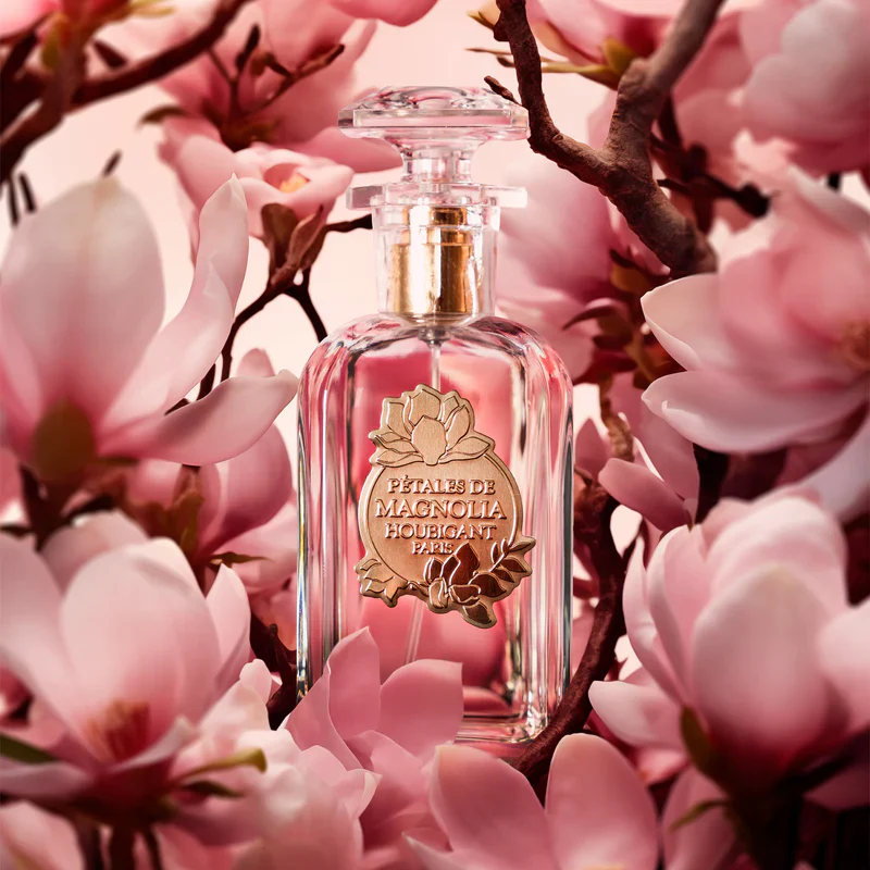 PETALES DE MAGNOLIA - Image 3